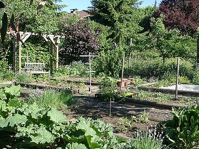 Gem�segarten Mai 2002