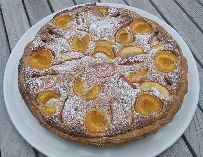  Tarte mit Aprikosen und Nektarinen auf Mandelcreme