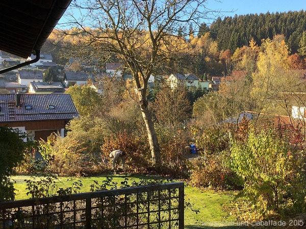 Gärtner am Werk