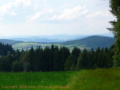 Blick von unterhalb der Gsteinachhöhe