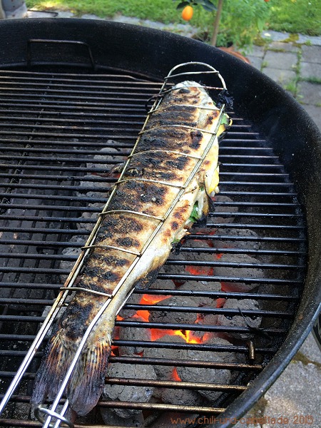 Forelle vom Grill