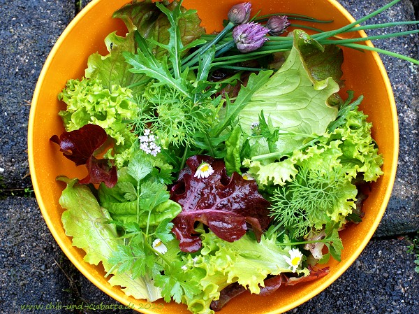 gemischte Salate aus dem Garten