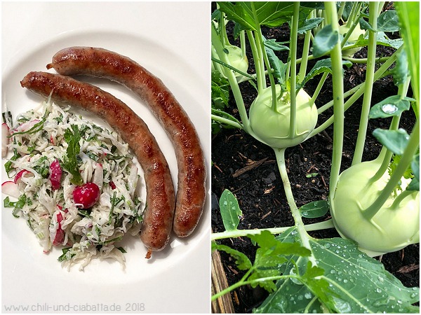 Kohlrabi-Radieschen Slaw mit Bratwurst