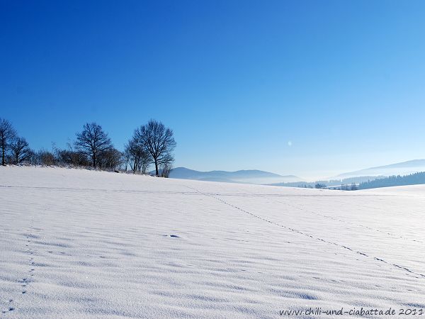 Winterspaziergang 2010